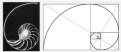 Click image for larger version

Name:	Conchiglia.png
Views:	8
Size:	64.8 KB
ID:	147546