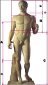 Click image for larger version

Name:	corpo umano.png
Views:	6
Size:	271.4 KB
ID:	147548