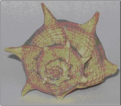 Click image for larger version

Name:	Conchiglia 2.png
Views:	283
Size:	74.9 KB
ID:	147553