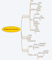 Click image for larger version

Name:	M.png
Views:	26
Size:	177.1 KB
ID:	157343