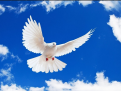 Click image for larger version

Name:	1.png
Views:	5
Size:	285.7 KB
ID:	157620